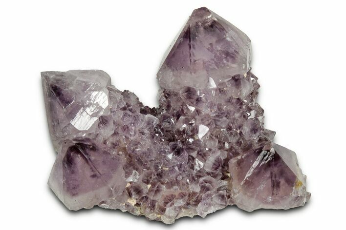 Deep-Purple Cactus Amethyst Crystal Cluster - South Africa #337604